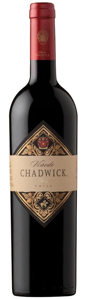 VINO CHADWICK 2021 750 ML