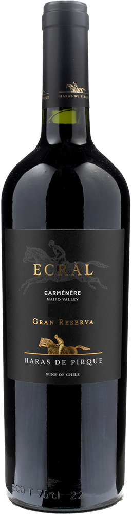 VINO HARAS DE PIRQUE ECRAL CARMENERE 2021 750 ML
