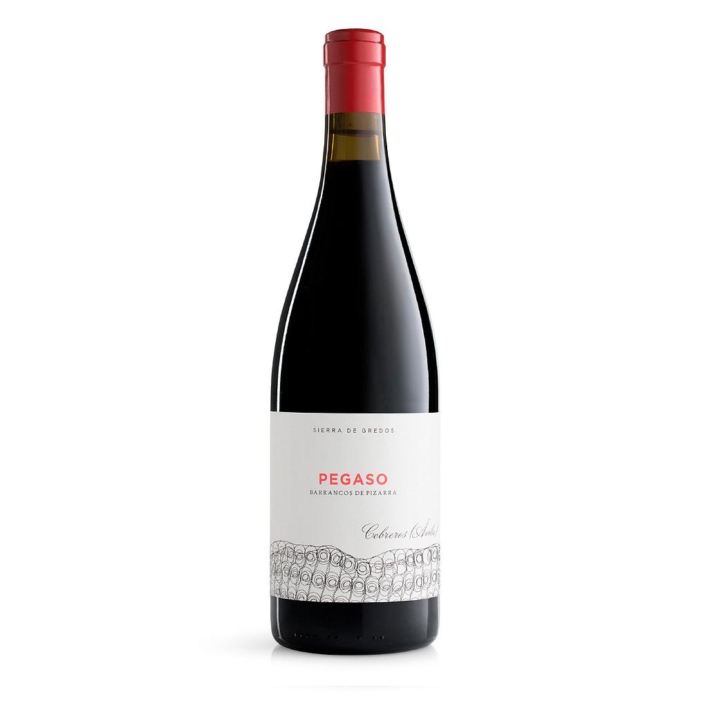 VINO TELMO RODRIGUEZ PEGASO PIZARRA 2022 750 ML