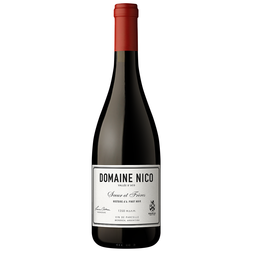 VINO DOMAINE NICO HISTOIRE D A 2024 750 ML